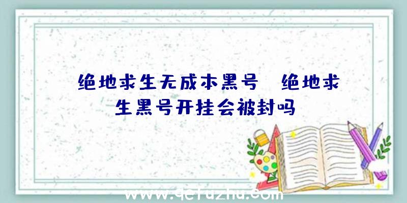 「绝地求生无成本黑号」|绝地求生黑号开挂会被封吗